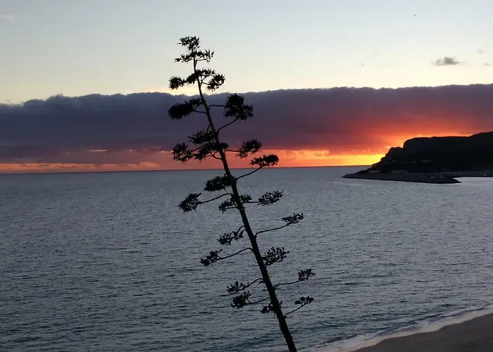 Sesimbra Falesia